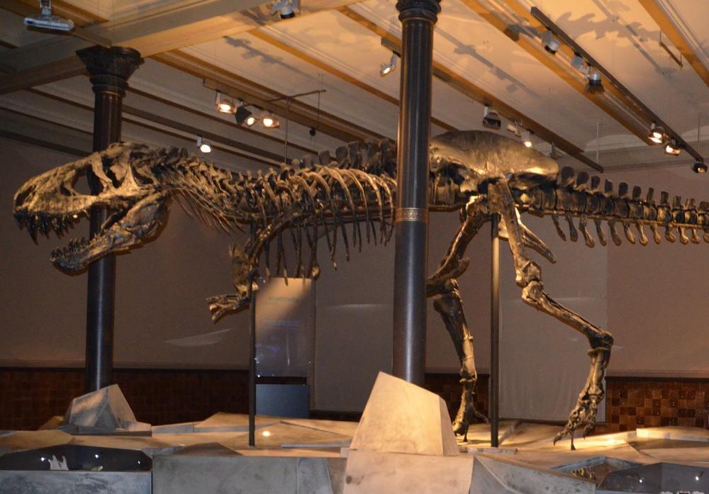 tristan the t rex